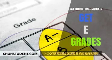 How International Students Can Achieve Top Grades