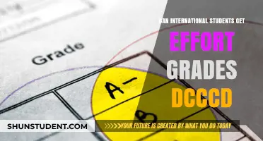 International Students: Effort Grades at DCCCD