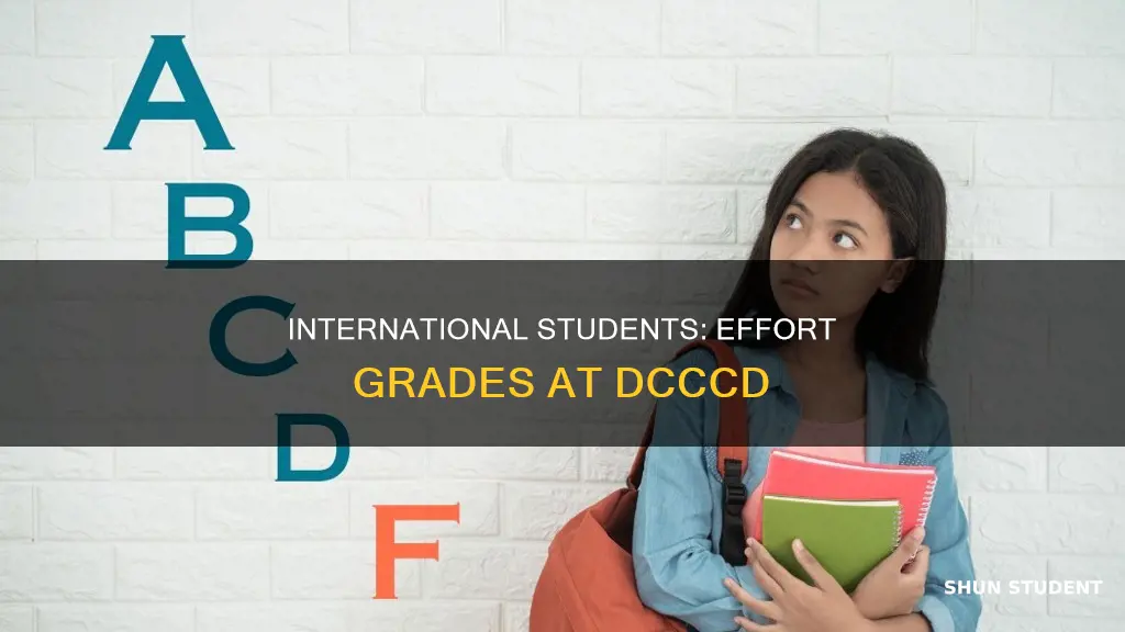 can international students get effort grades dcccd