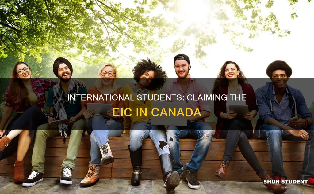 can international students get eic
