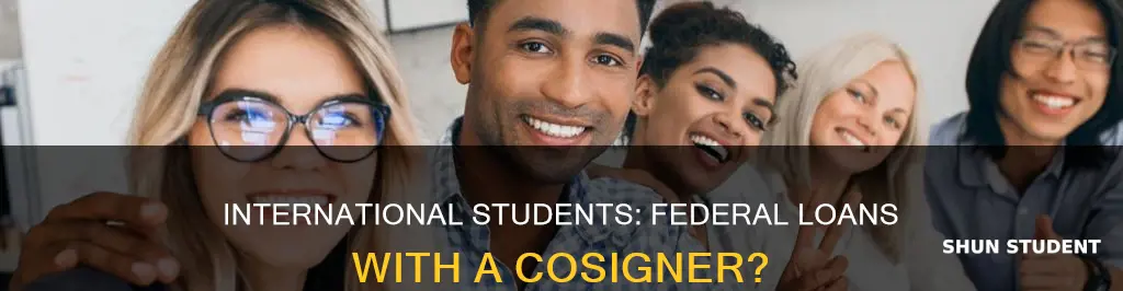 can international students get federal loans with cosigner