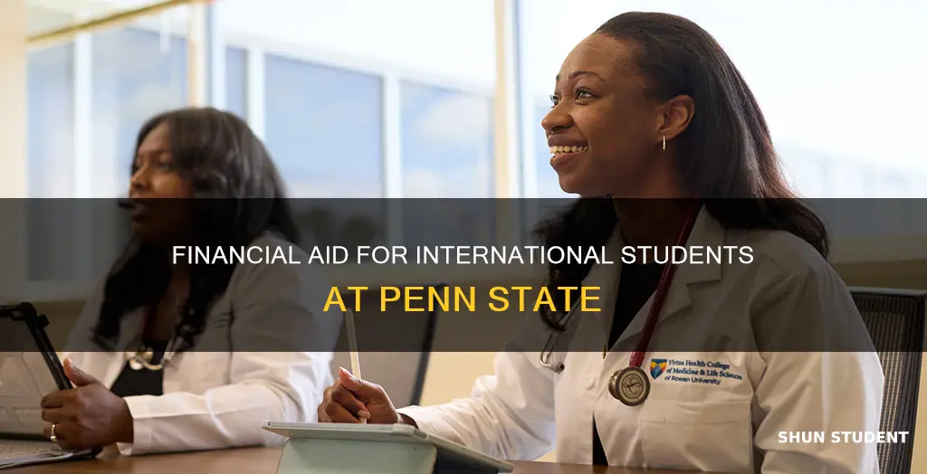 can international students get financial aid in psu