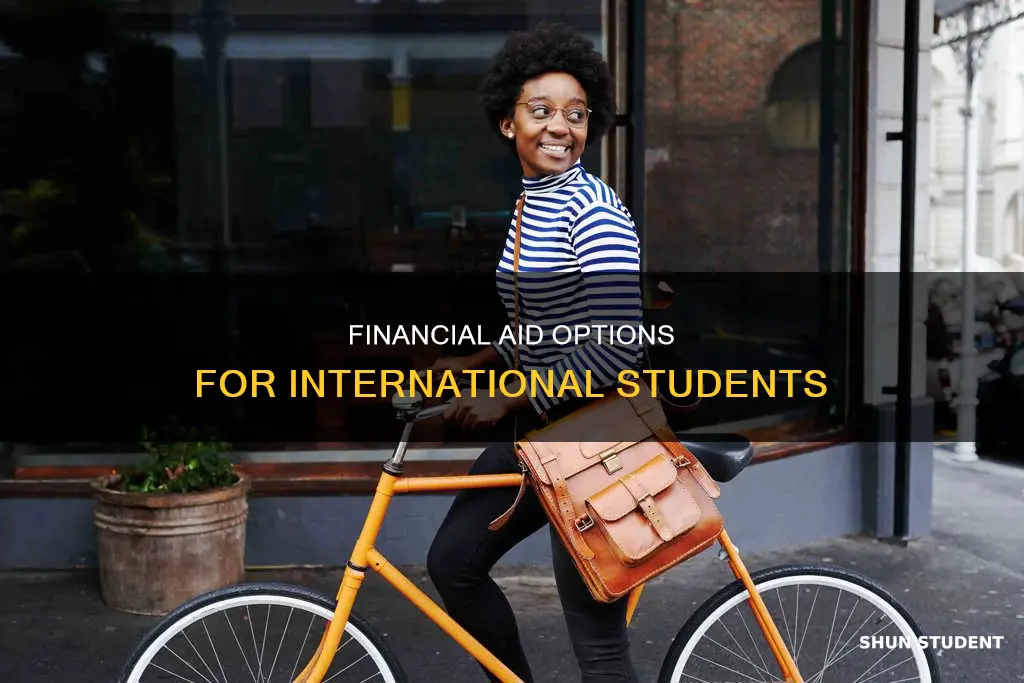 can international students get financial aid