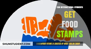 International Students: Are Food Stamps an Option?