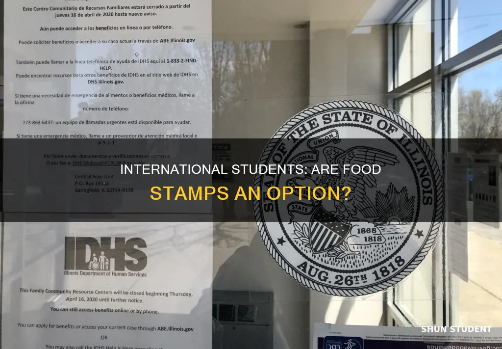 can international students get food stamps