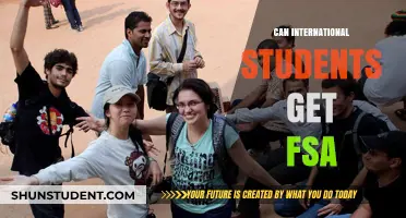 International Students: Are You Eligible for FSA?