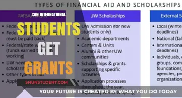 International Students: Grants and How to Get Them