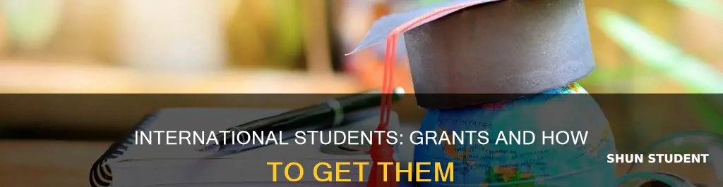 can international students get grants