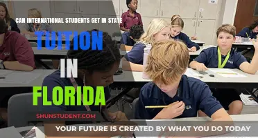 International Students: In-State Tuition in Florida?