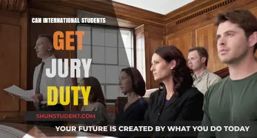 International Students and Jury Duty: Who's Eligible?