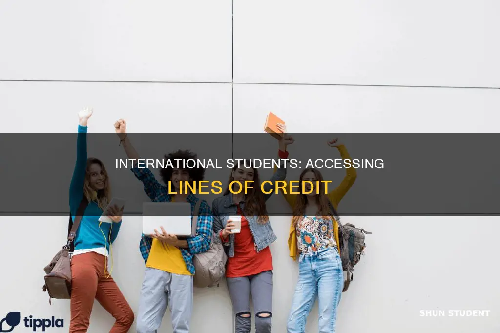 can international students get line of credit