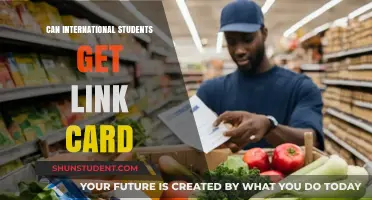 International Students and Link Cards: Who's Eligible?