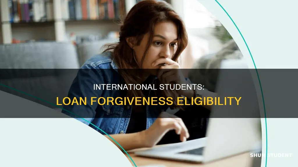 can international students get loan forgiveness