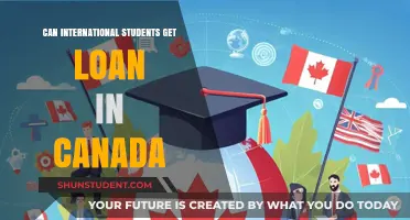 International Students: Loans in Canada — Possibilities and Hurdles