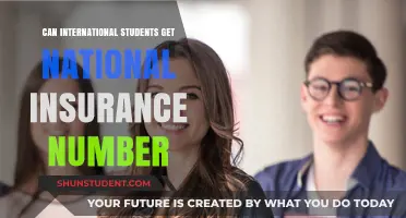 International Students: Getting a National Insurance Number