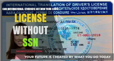 International Students: Getting a New York License Without SSN