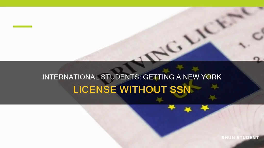 can international students get new york state license without ssn