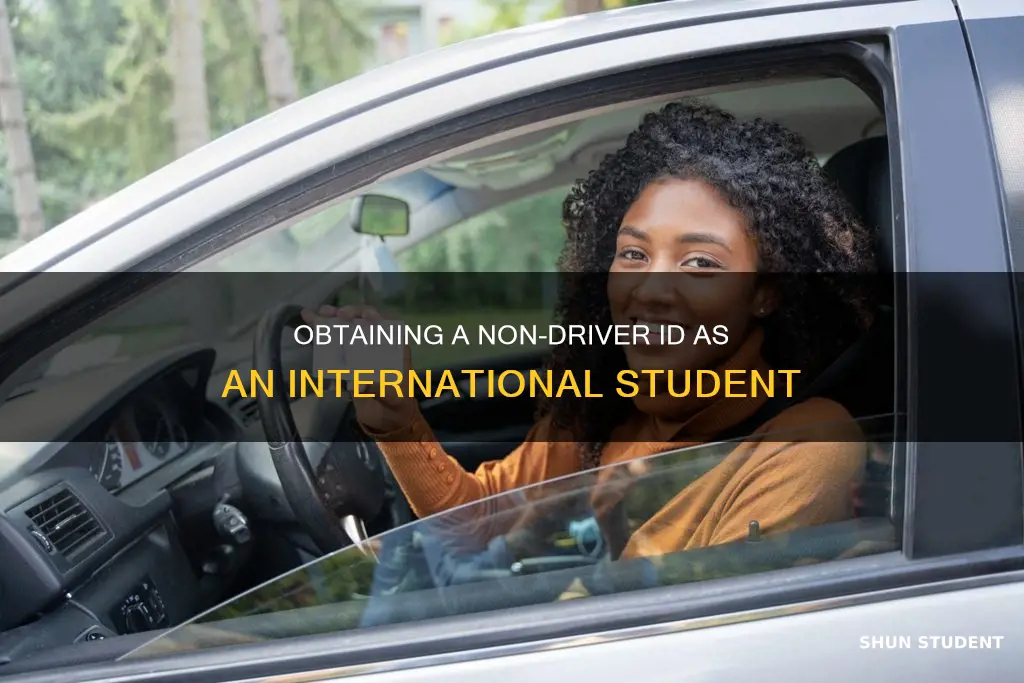 can international students get non-driver id