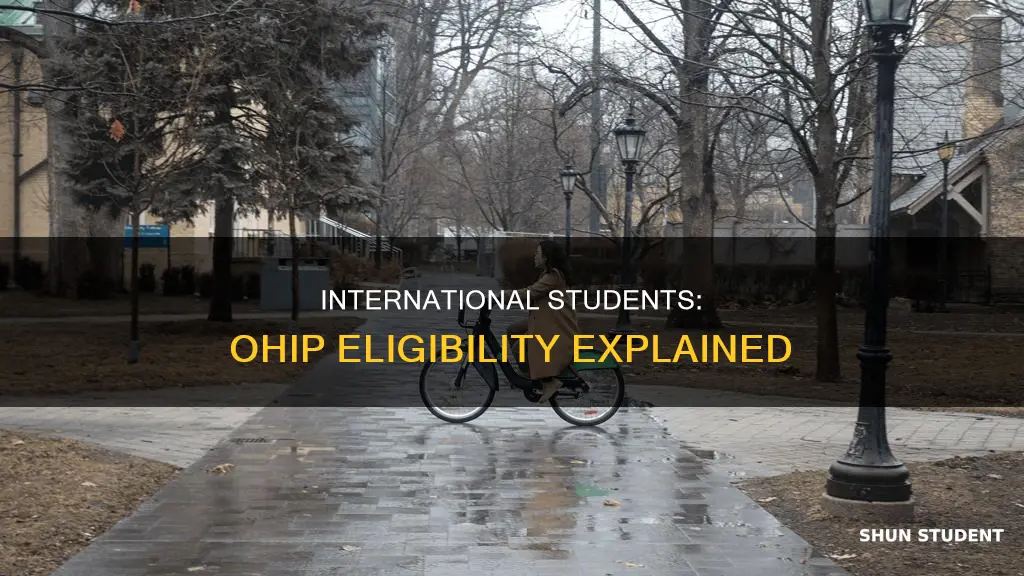 can international students get ohip