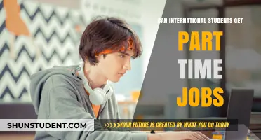 Part-Time Work Options for International Students