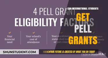 International Students: Are Pell Grants an Option?