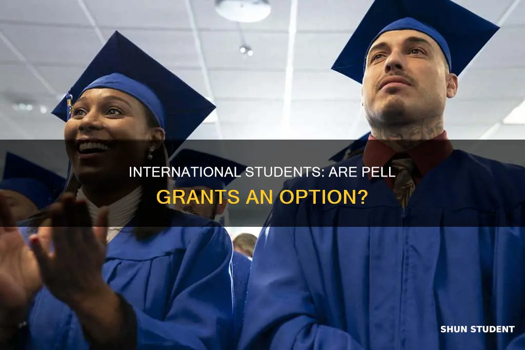 can international students get pell grants