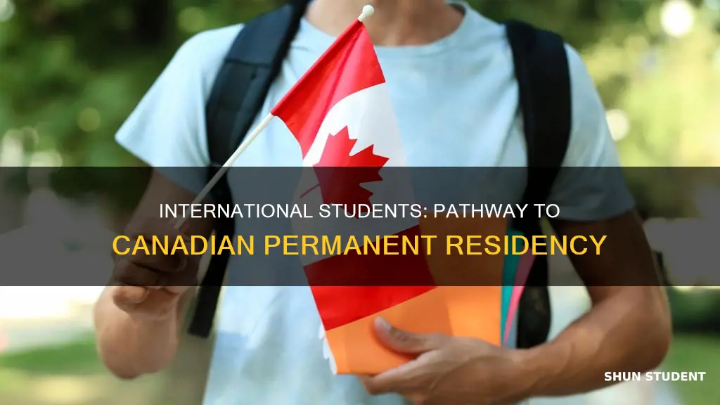 can international students get permanent residency in canada