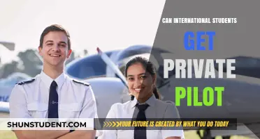 International Students: Private Pilot Possibilities