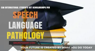 International Students: Speech Pathology Scholarships Available?