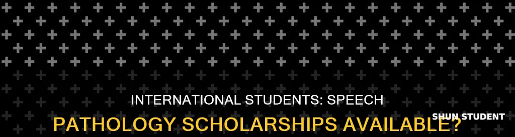 can international students get scholarships for speech language pathology