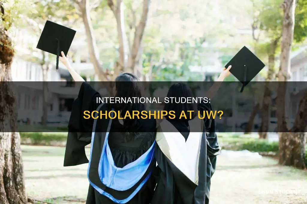 can international students get scholarships from uw