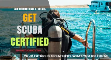 International Students: Scuba Certification Possibilities
