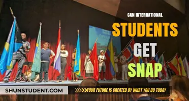 International Students: Are You Eligible for SNAP?