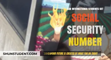 How International Students Can Get a Social Security Number