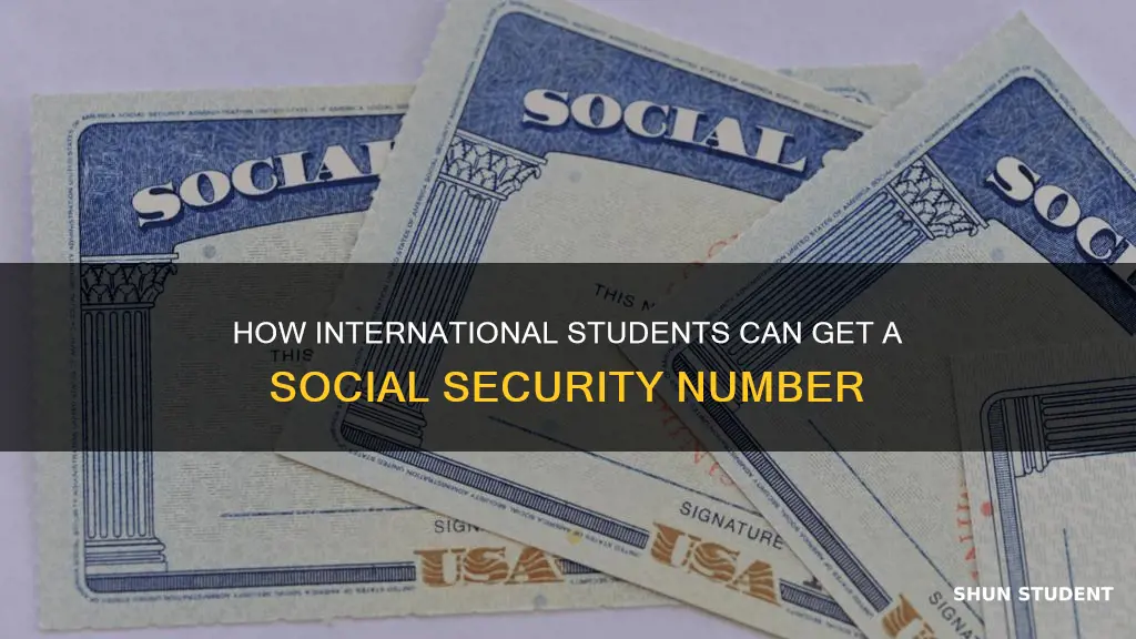 can international students get social security number