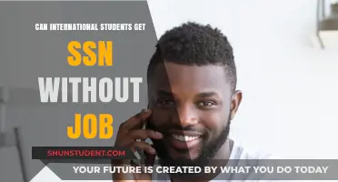 How International Students Get SSNs Without Jobs