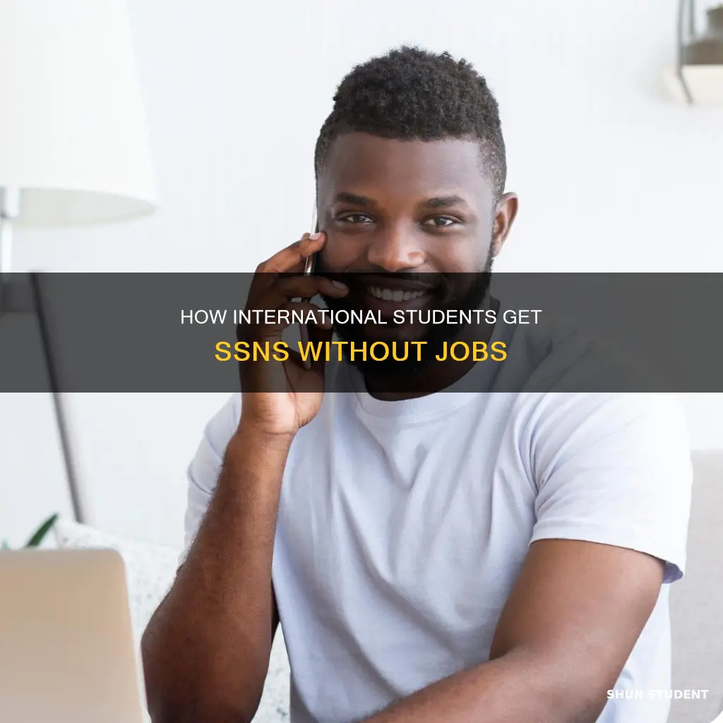 can international students get ssn without job