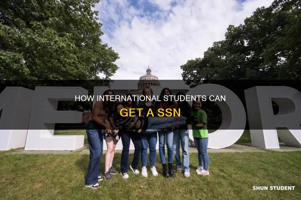 can international students get ssn