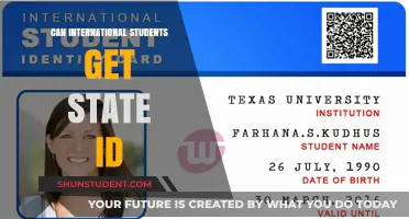 International Students: State ID Access Explored
