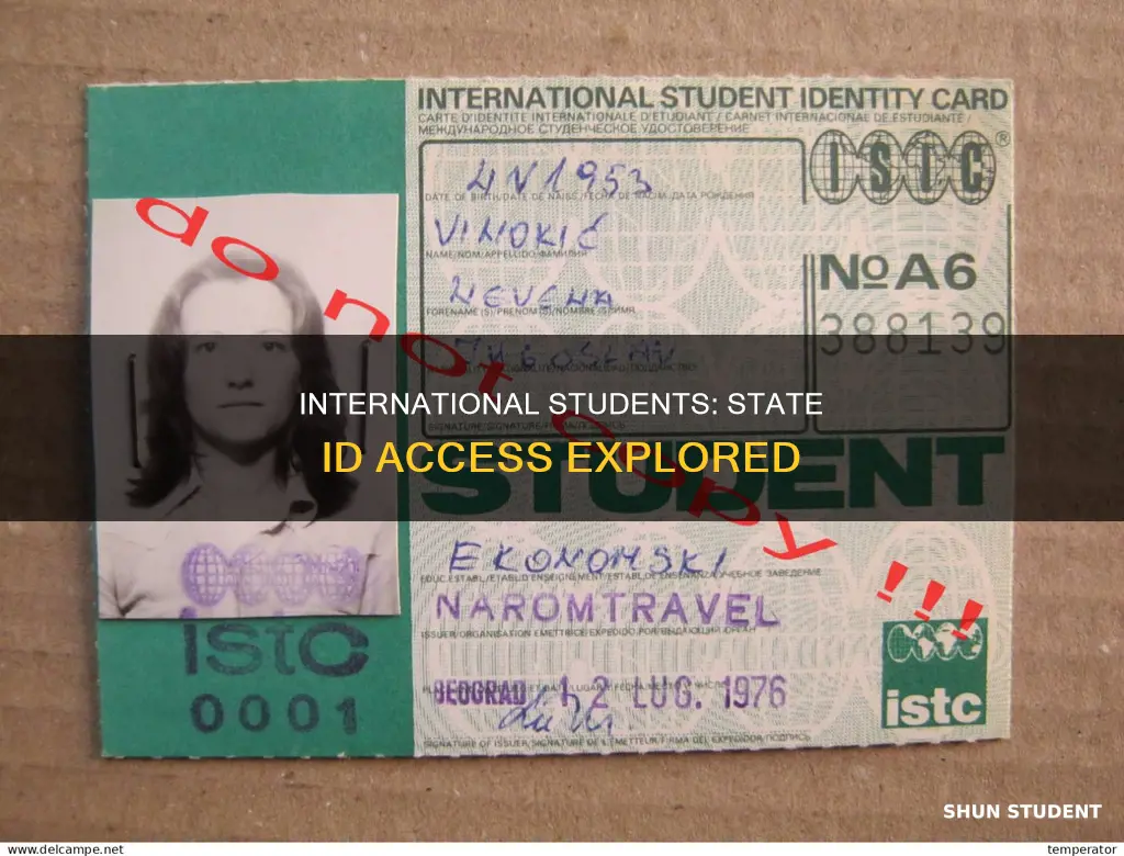 can international students get state id