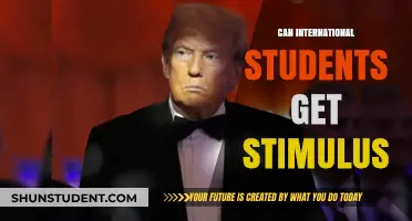 Stimulus Checks for International Students: Eligibility Explained