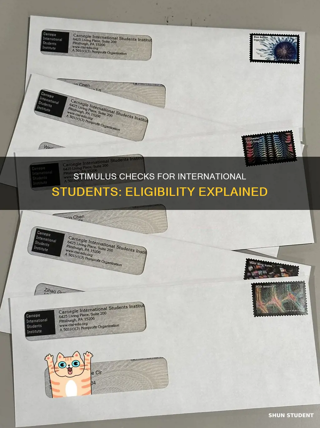 can international students get stimulus
