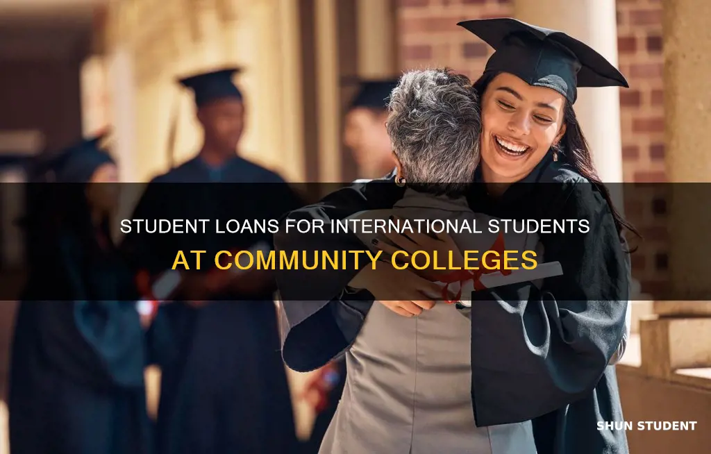 can international students get student loans for community colleges
