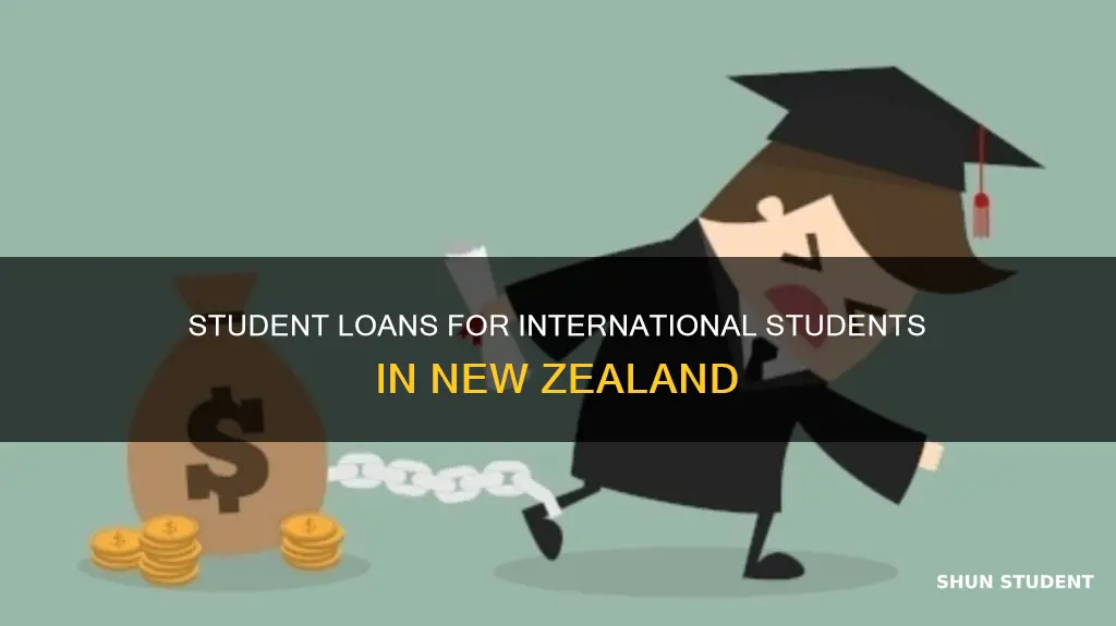 can international students get student loans in new zealand