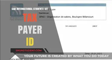 How International Students Can Obtain a Taxpayer ID