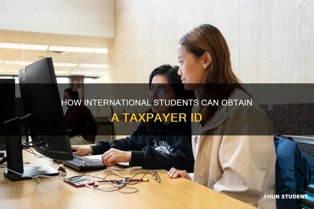 can international students get tax payer id