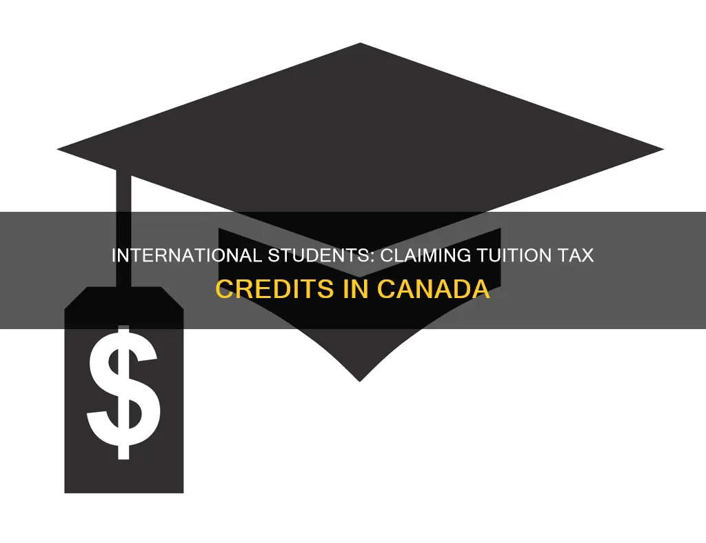can international students get tax return for tuition canada
