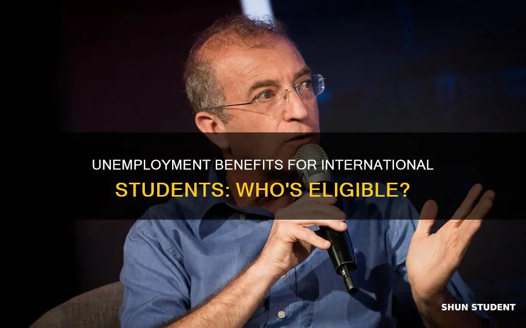 can international students get unemployment