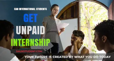 Unpaid Internships: Are They Legal for International Students?