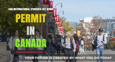 Work Permits for International Students in Canada: What's Possible?